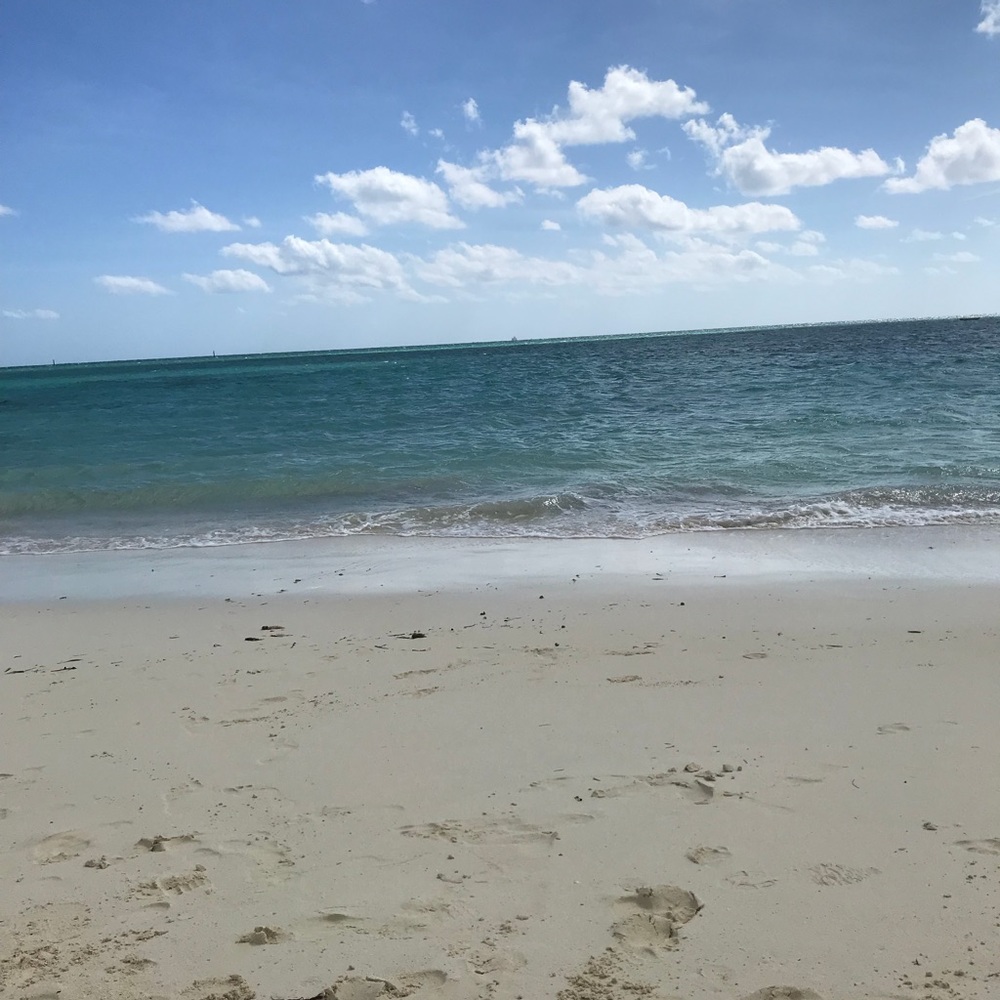 Meet your Posher, Jasmin